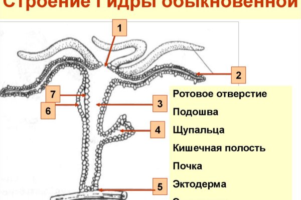2krn ссылка