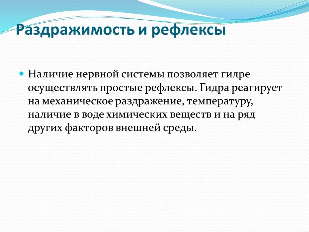 Kraken ссылка зеркало рабочее